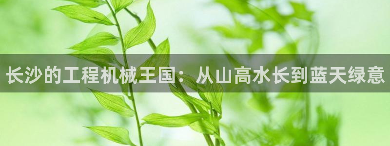 惠东万事达酒店娱乐