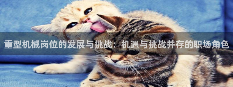 万事娱乐app官方认证