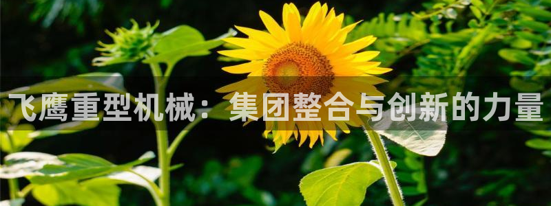 万事娱乐吧