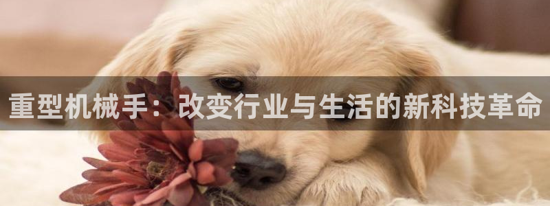 万事娱乐网址大全
