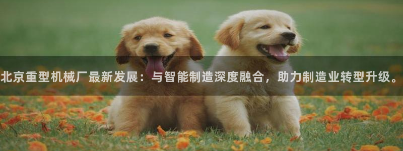 万事2娱乐
