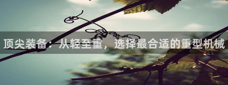 娱乐万事通图片
