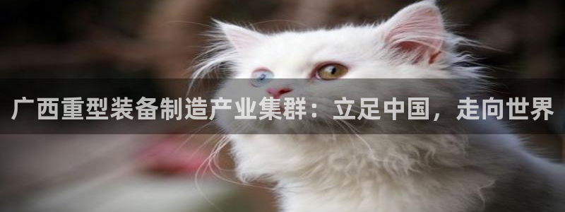 万事娱乐靠谱么