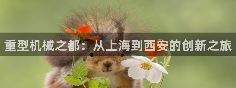 万事达娱乐指尖年