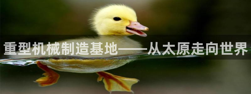 万事通娱乐官网