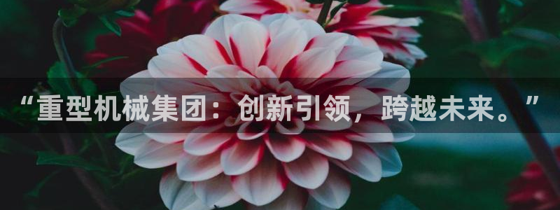 万事娱乐qv87555