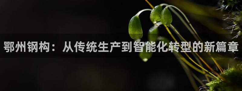 万事娱乐吧