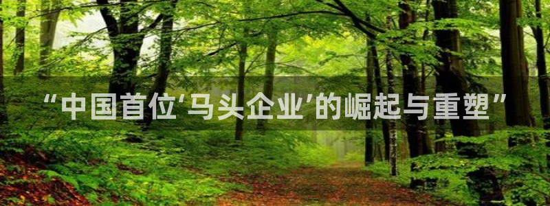 万事娱乐代理