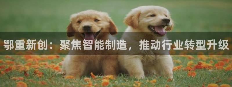 娱乐节目万事屋