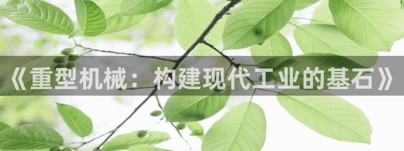 万事娱乐联37997