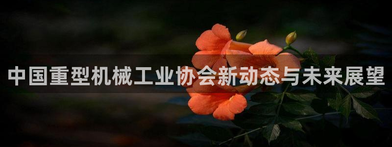 万事娱乐系37997筘