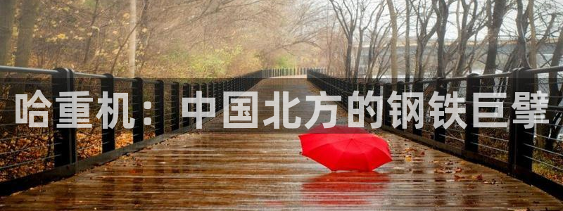 万事娱乐app官方认证