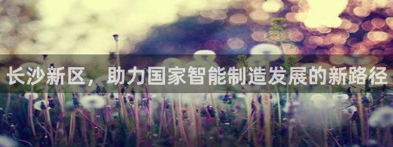 万事娱乐化