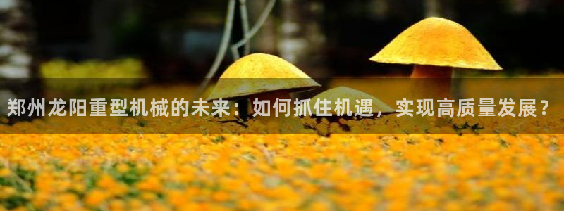 万事娱乐主管年薪多少