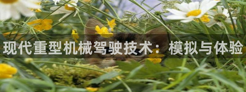 万事达娱乐问55312
