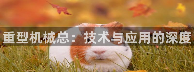 万事娱乐手机客户端