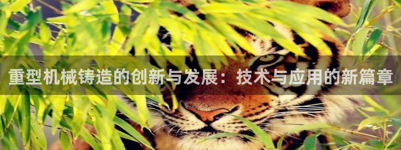万事国际娱乐