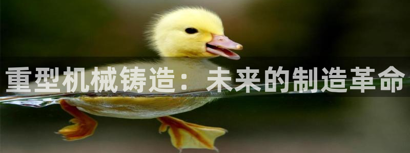 万事成物流娱乐宣传