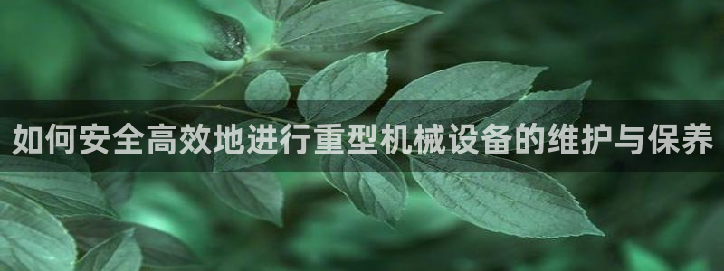 万事达娱乐筘55312