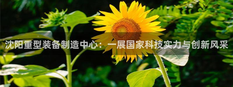 万事如意娱乐模式