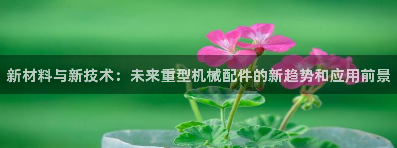 万事达娱乐a实力56262