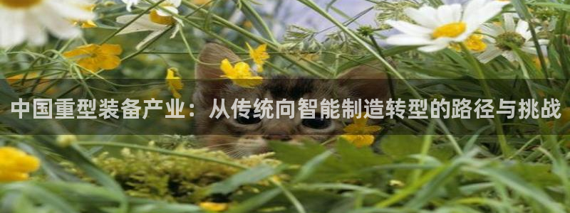 万事达娱乐官网