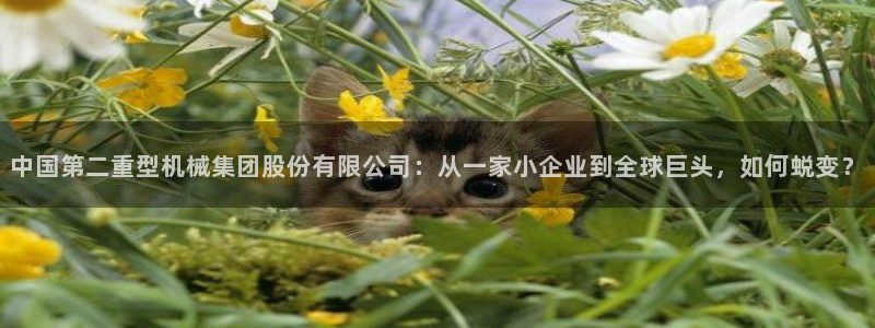 万事娱乐怎么拿代理