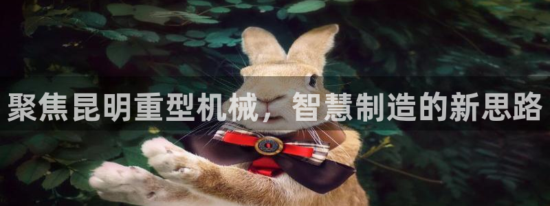 万事娱乐代理加盟