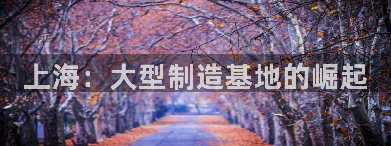 娱乐万事屋账号