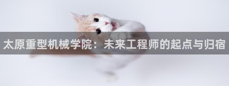 万事达娱乐指尖发