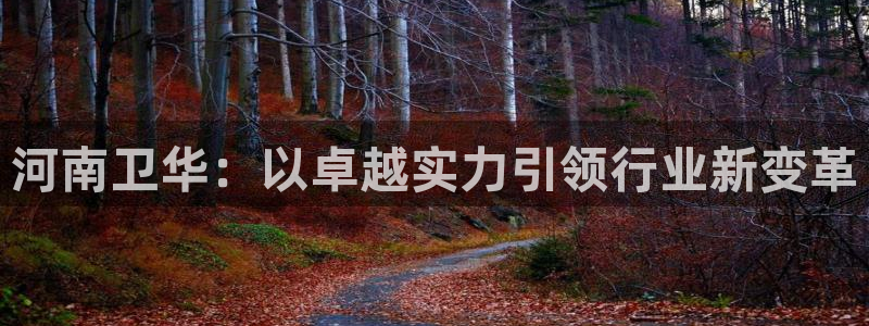 万事达娱乐a实力56262