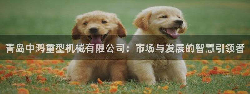 万事达娱乐彩票