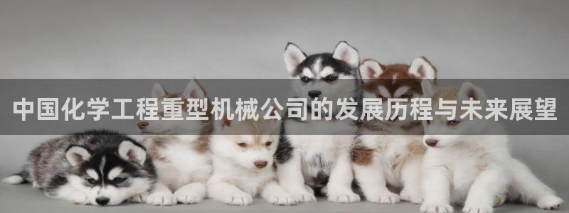 美女春节娱乐万事如意