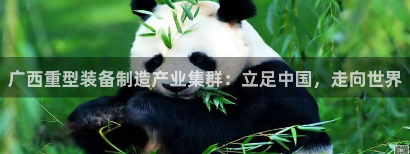 万事屋卡牌娱乐
