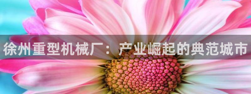 万事达娱乐d实力56262
