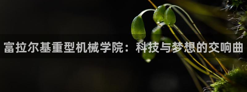 万事娱乐主管薪资多少