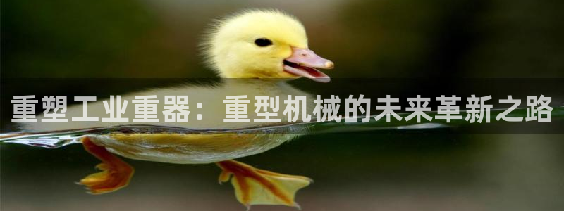 万事娱乐筘49403