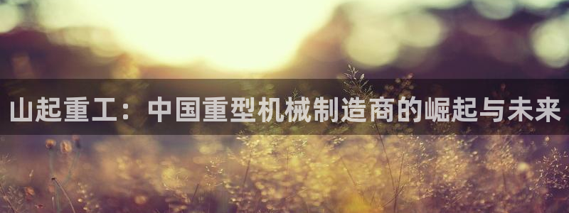 万事娱乐手机客户端官网