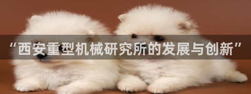 万事达娱乐见55312