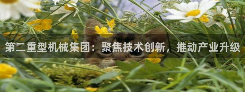 万事大吉娱乐项目