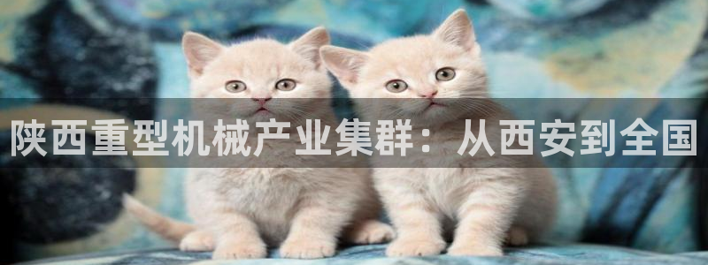 万事娱乐官网下载安卓