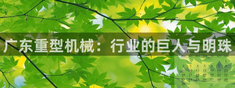 万事娱乐怎么拿代理