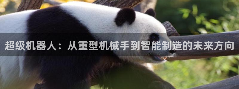 万事娱乐最高总代理